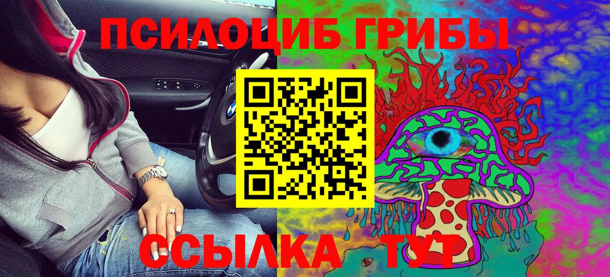 Рыбинск  Псилоцибиновые грибы Psilocybe  Вход с VPN 